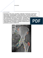 Anatomi Radiologi Pelvis
