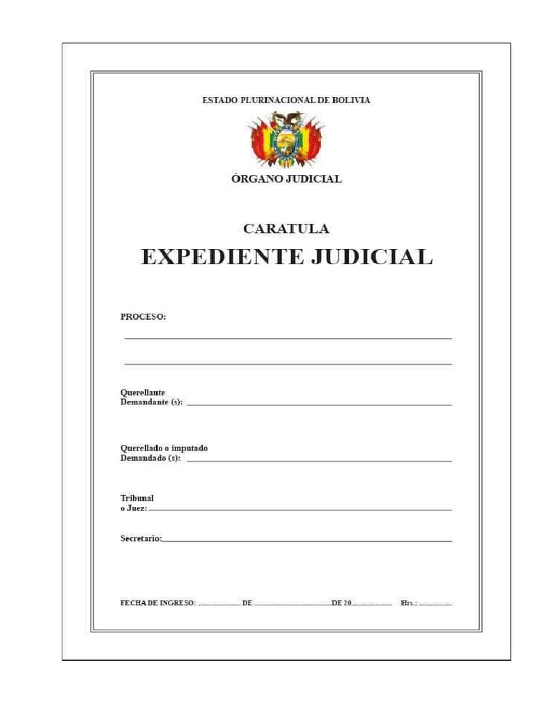 Caratula judicial pdf
