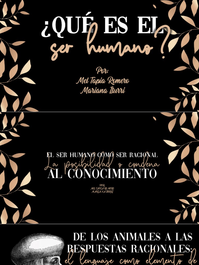 Definición y evolución del ser humano | PDF | Realidad | Comprensión