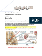 Nervio Facial y Trigemino