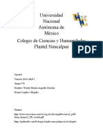 Drogas legales e ilegales: efectos en la salud