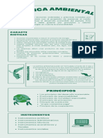 Politica Ambiental