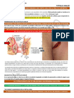 Fistulas Anales