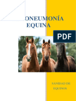 Rinoneumonía Equina