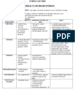 Glande Endocrine - Vii