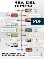 Linea Del Tiempo