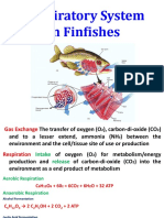 Respiratory System in Finfishes 1