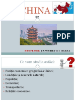 Tema 9. China