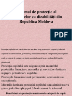 Sistemul de Protecţie Al Persoanelor Cu Dizabilităţi Din Republica Moldova