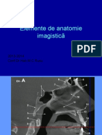 Elemente de anatomie imagistică