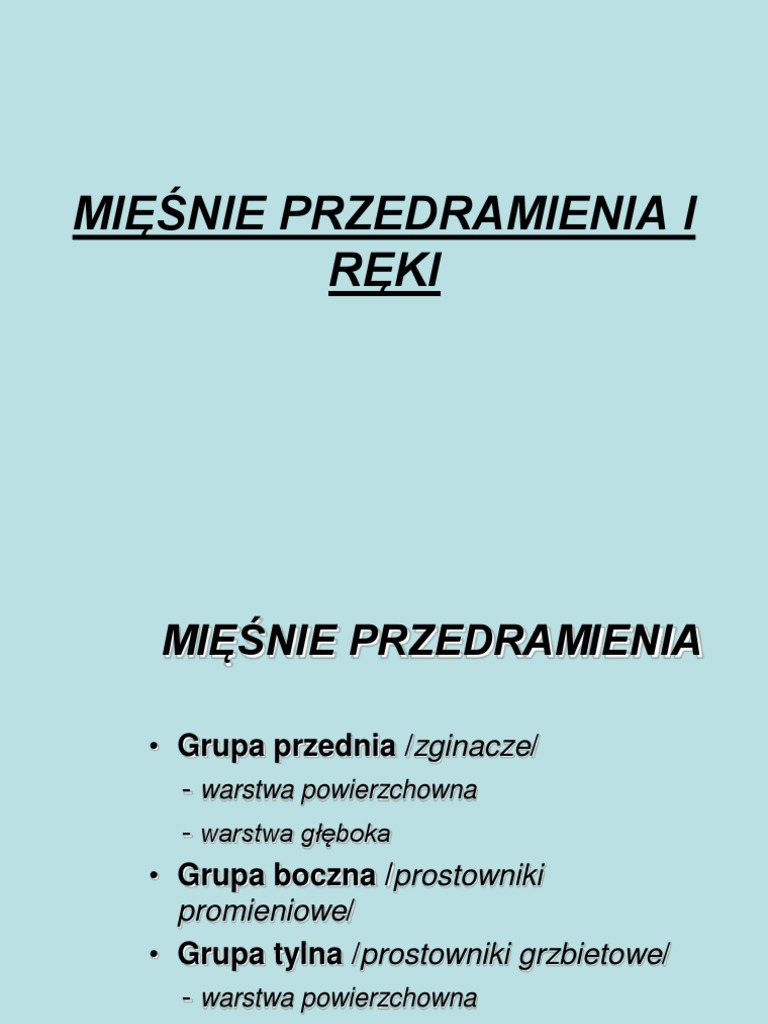 MM Przedramienia I Reki | PDF