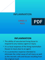 Cardinal Signs of Inlamation