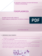 Andronescu-toxoplasmoza
