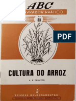 A-Cultura-do-Arroz