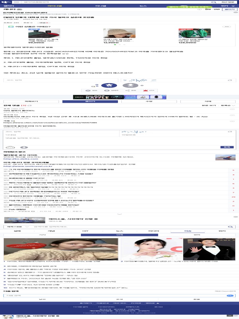 단풍국 대학생 미국 가서 일하고 싶은데 조언좀 - 캐나다 마이너 갤러리 | PDF