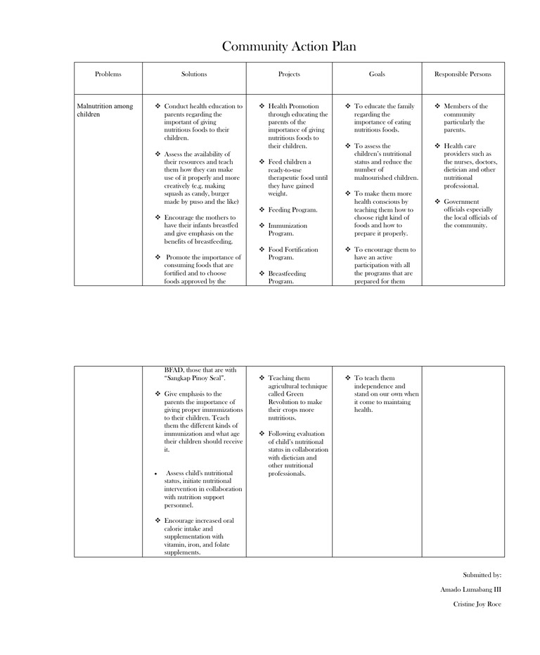 why community action plan is important essay brainly