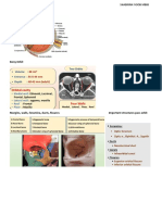 Ophthalmology Anatomy and Physiology Guide