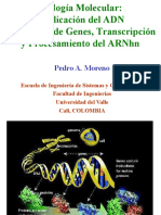 C3 Replicacion Transcripcion Procesamiento 2022