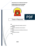 TRABAJO TAMBO