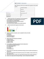 Examen Global