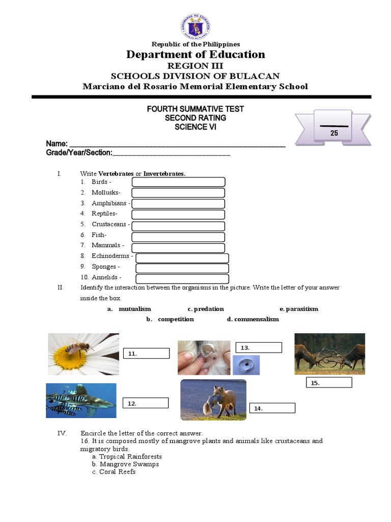 Grade 6 Science Quarter 2 Test | PDF