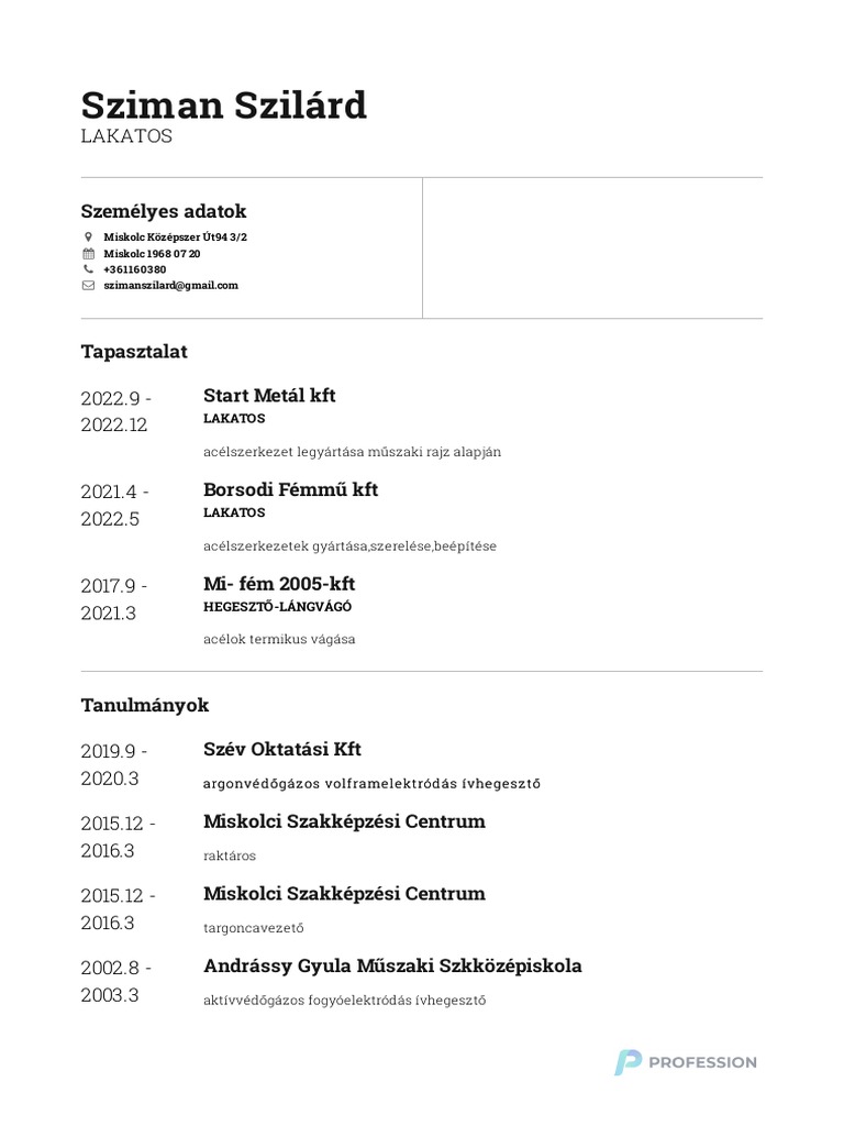 Sziman Szilard CV 20230110120132 | PDF