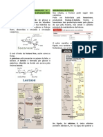 6 - Metabolismo de Carboidratos IV - Metabolismo Da Frutose e Da Galactose