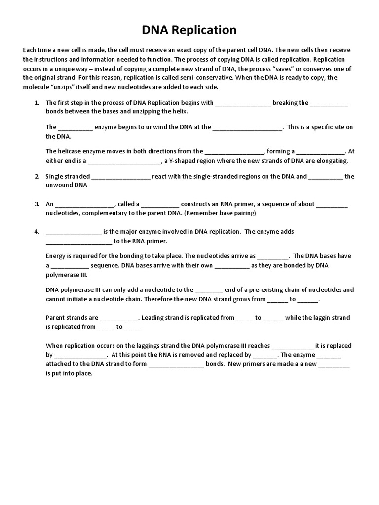 Dna Replication Worksheet PDF Dna Replication Dna