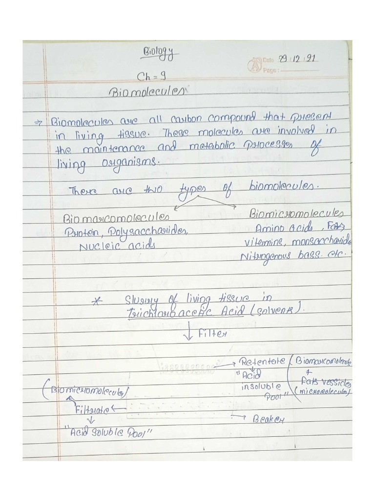 Biomolecules Class 11 Biology PDF