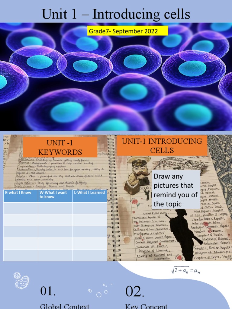 U 1 Introducing Cells 1 Pdf Cell Biology Endoplasmic Reticulum