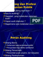 Audit dan Profesi Akuntan Publik