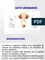BIOFISICA CLASE 10 - Biofisica Aparato Urinario