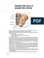 Cavidade Pélvica e Órgãos Pélvicos