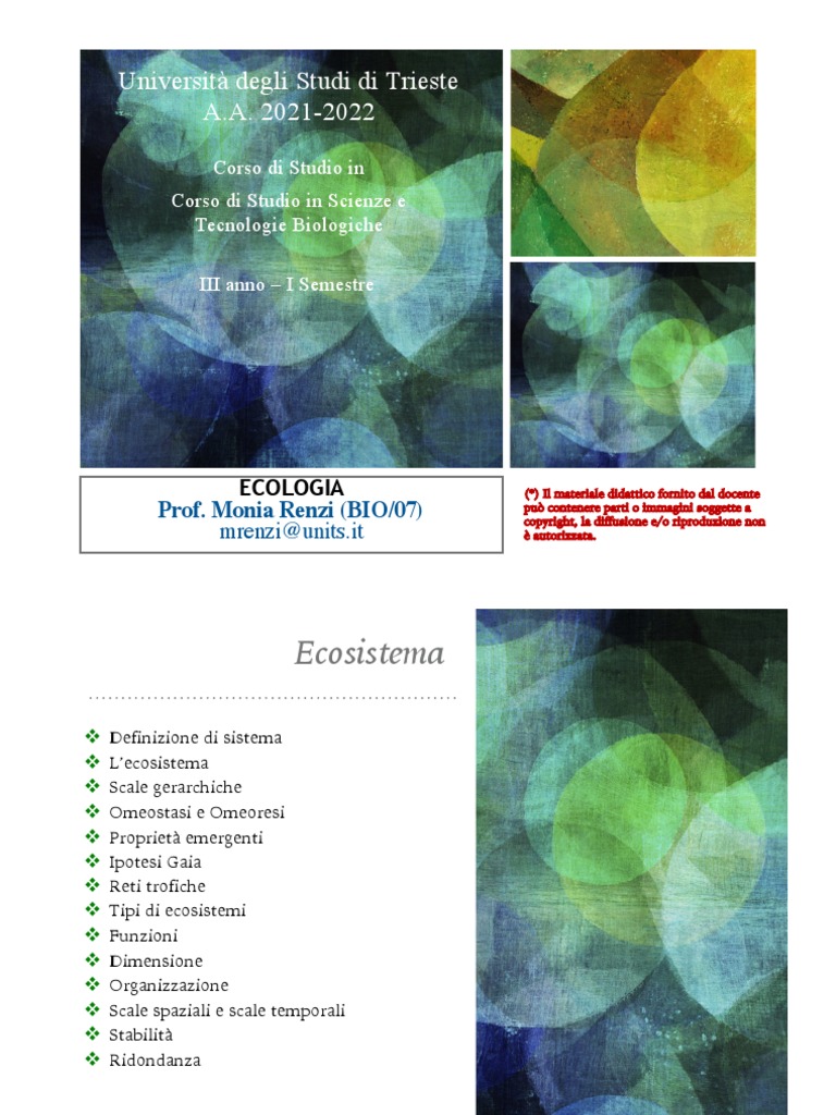 Come sono correlate l'ecologia e l'evoluzione? -Sigma Terra, image size:768x1024