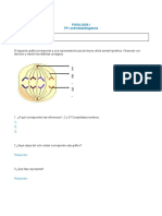 Actividad Obligatoria - Ud2