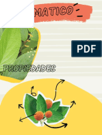 Exposicion Plantas