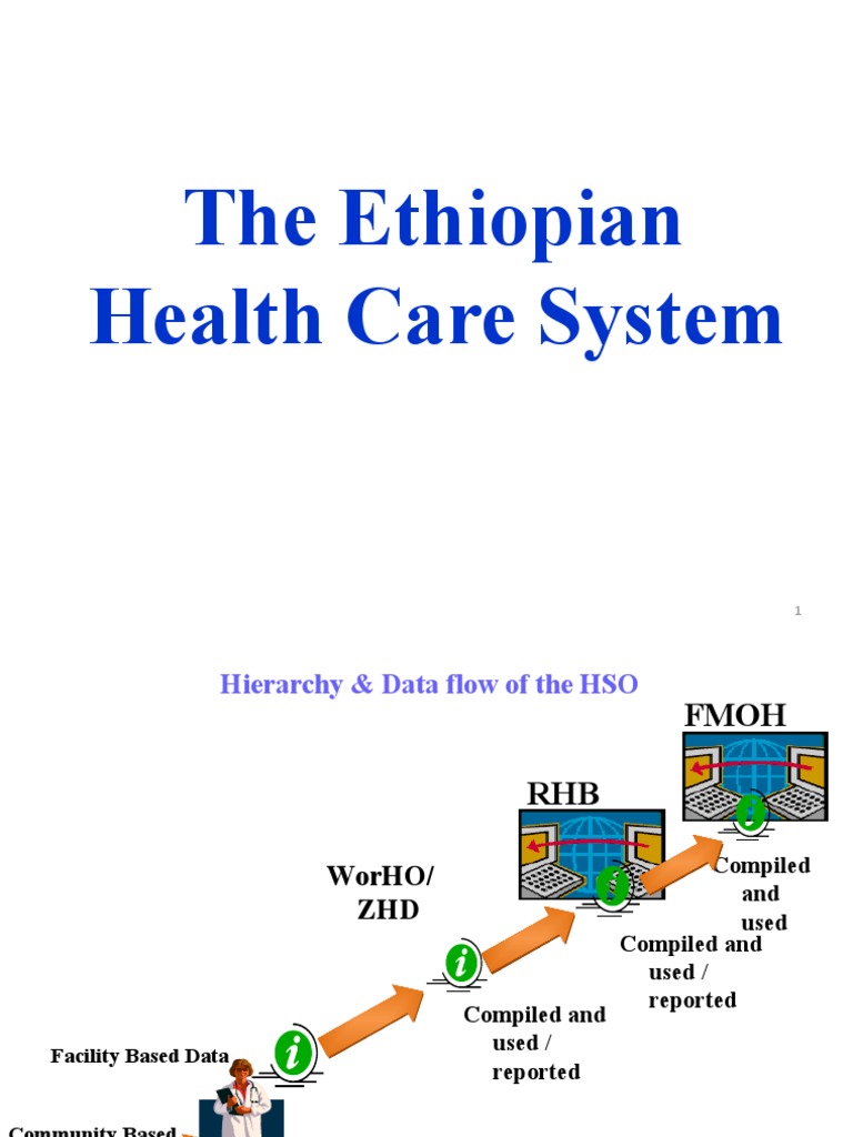 TOP 10 DISEASE IN ETHIOPIA PDF visual data 7