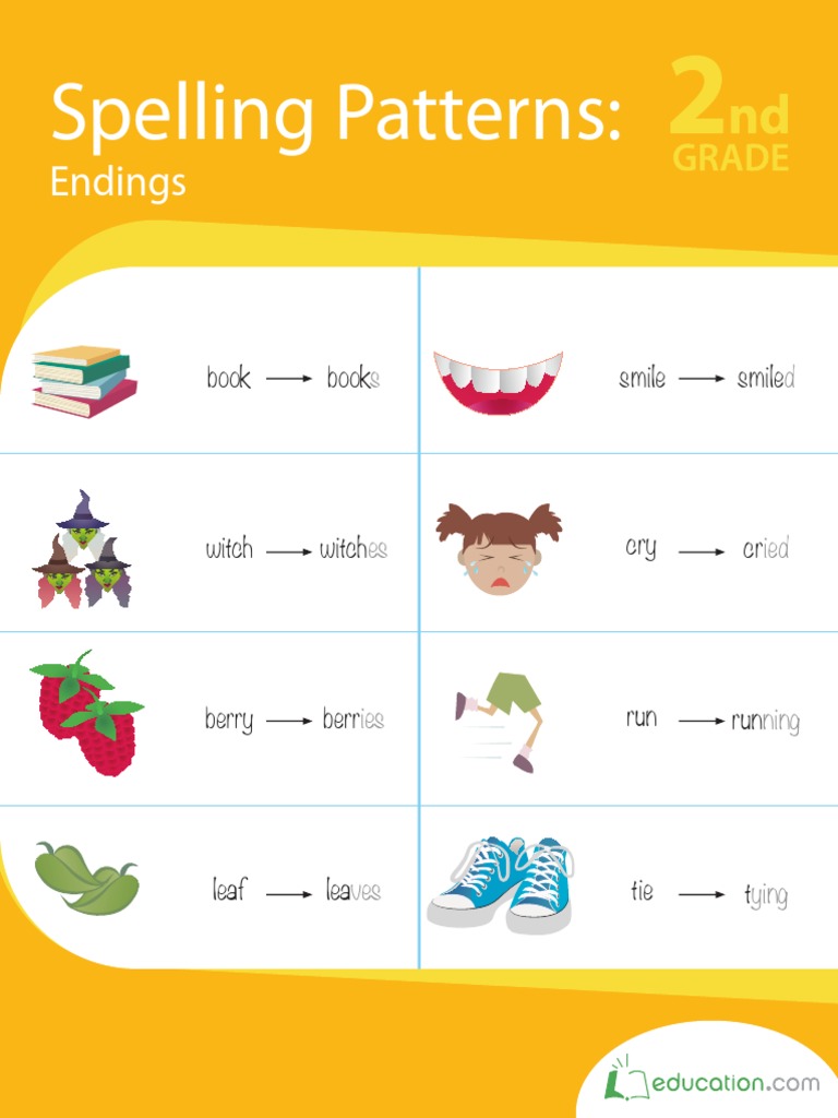 Spelling Patterns Endings Workbook | PDF | Grammatical Number | Plural