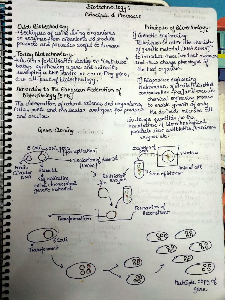 Biotech Principal and Process | PDF | Chemistry | Biology