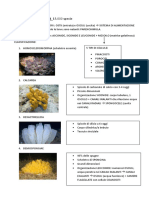CLASSIFICAZIONE 2.0 pdf.