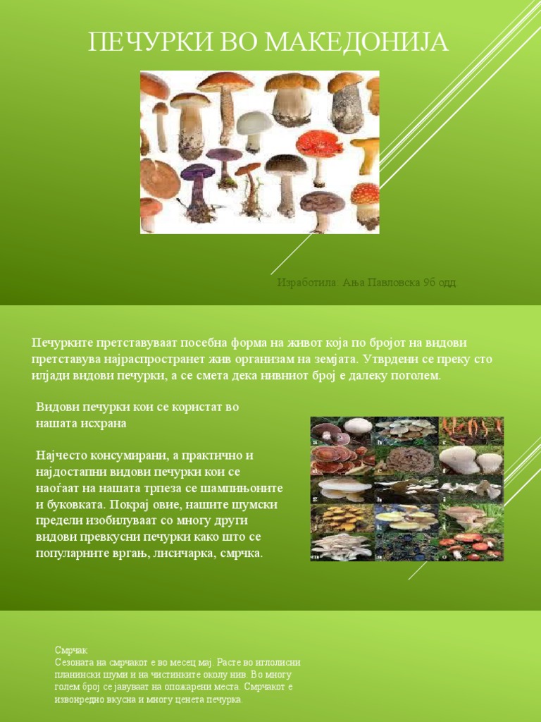 Печурки во Македонија | PDF