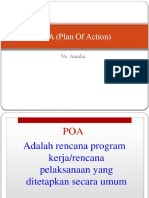 POA (Plan of Action)