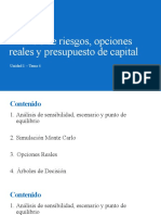 Tema 4 - Análisis de Riesgos y Presupuesto de Capital