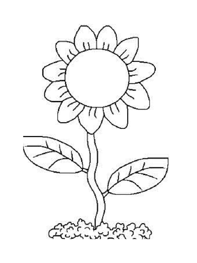 цветови | PDF