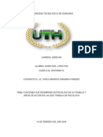 373149962 Funciones Que Desempena Un Psicologo en Su Trabajo y Areas de Accion en Las Que Trabaja Un Psicologo