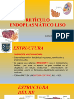 RETÍCULO ENDOPLASMÁTICO LISO Expo 20