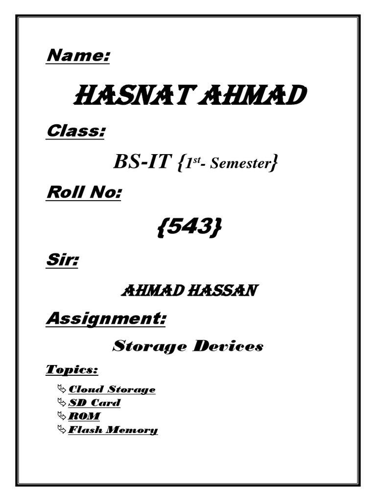 Assignment of IT (Storage Devices) | PDF