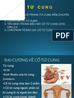 Bài TTGPB3 C T Cung 2