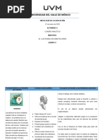 Actividad 3 - Cuadro Analítico FINAL