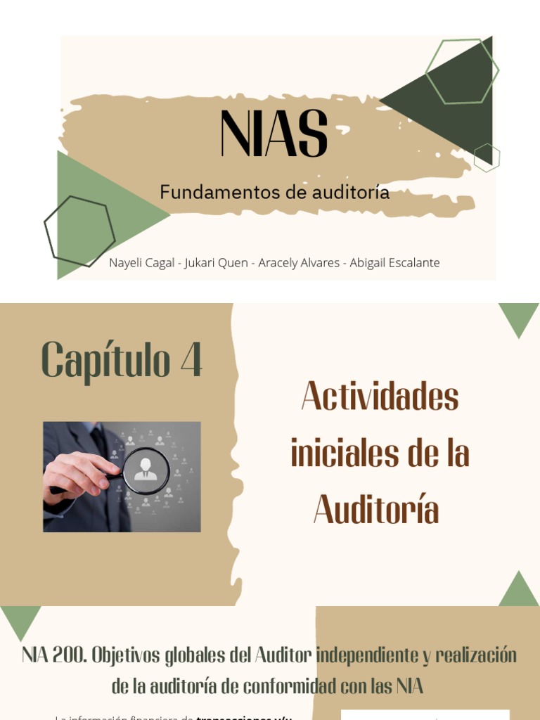 NIAS-Fundamentos de Auditoria | Descargar gratis PDF | Auditoría ...